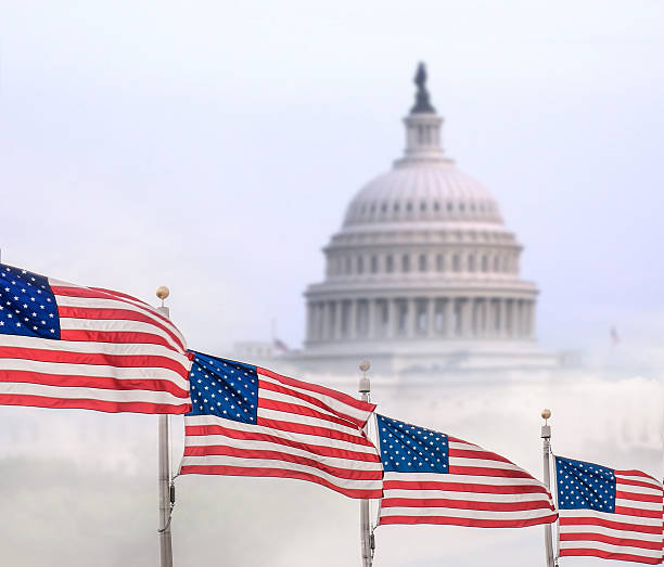 bandiere degli stati uniti con il campidoglio a washington, dc - congress center foto e immagini stock