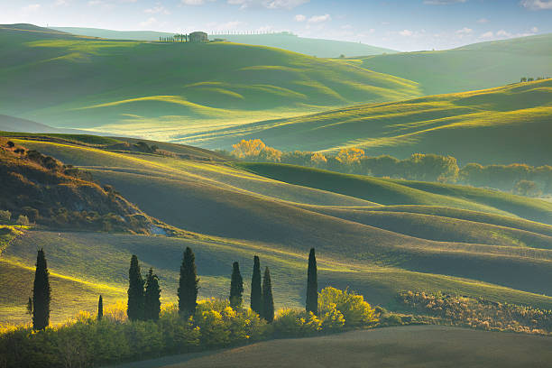 paisaje verde fresco de la toscana - tuscan cypress fotografías e imágenes de stock