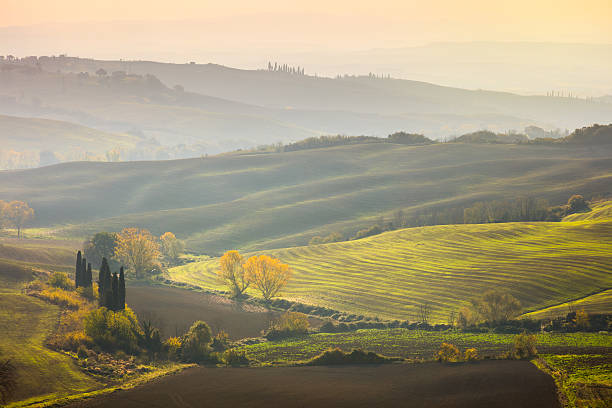 istock Natural Sunny Autumn landscape - Wavy fields at sunrise 636379384