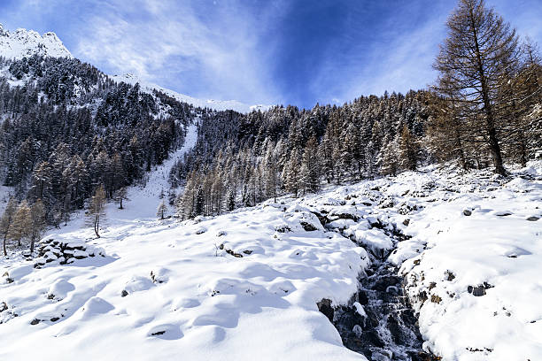 istock Sunny day in the alps after the snowfall 636379426