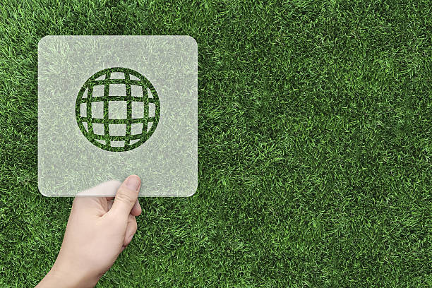 istock global symbol message box with green grass background 636383770