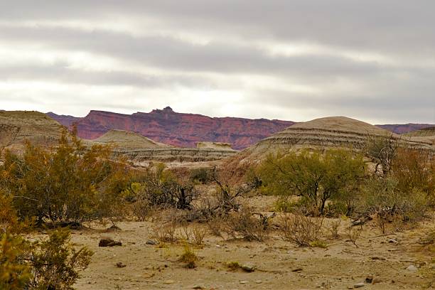 istock Nature reserve Ischigualasto 636384116
