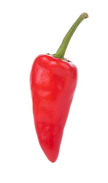 istock Red chili peppers on white background 636388504