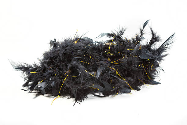 istock Black feather boa with gold tinsel isolated on white background 636388820