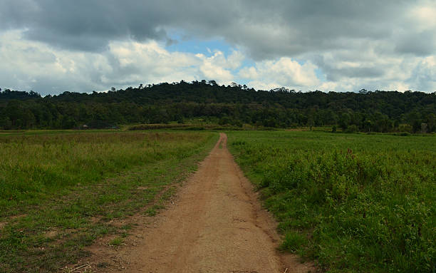 istock Mountain and country road 636393134
