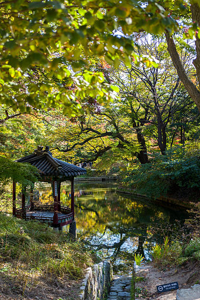 istock pavilion and trees reflection in changdeokgung palace 636402604