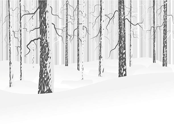 зимний лиственный лес - park snow tree back lit stock illustrations