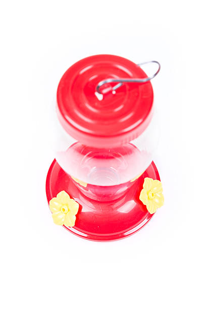 istock Hummingbird nectar feeder isolated on white background 636408628