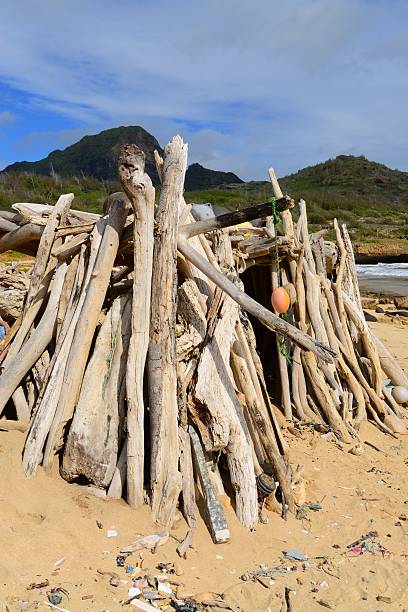 istock Hawaiian driftwood  Beach House 636412416