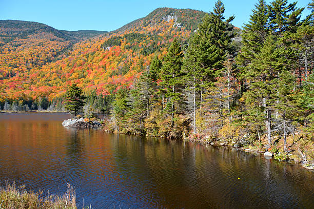 istock Autumn in Beaver Pond 636412770