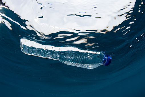 A plastic bottle floats on the surface of the sea. Plastic breaks down into tiny pieces that enter the food chain, endangering wildlife and human health.
