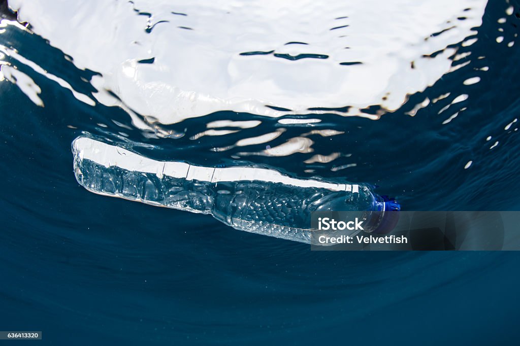 Plastic Bottle Floating in Ocean A plastic bottle floats on the surface of the sea. Plastic breaks down into tiny pieces that enter the food chain, endangering wildlife and human health. Plastic Stock Photo