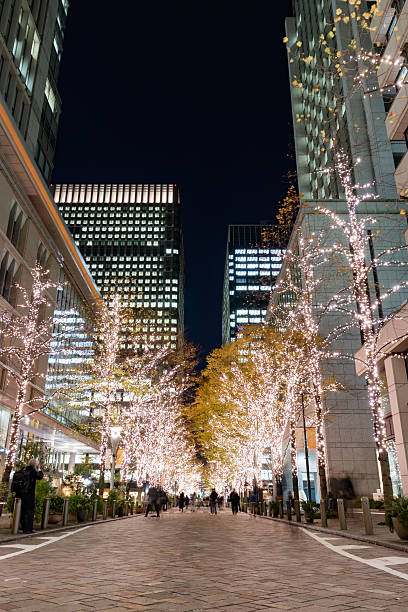istock Tokyo Station in Tokyo 636414760