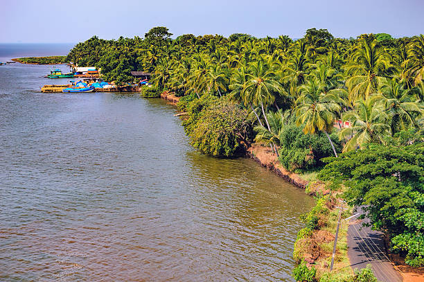 orilla del río zuari con bosque tropical, goa, india - rain monsoon rainforest storm fotografías e imágenes de stock