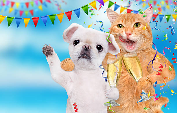 istock Cat and dog celebrating with champagne glasses. 636416372