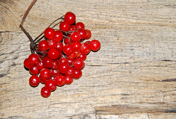 Red viburnum berries on the wooden background