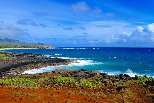 istock Kauai seascape 636418288