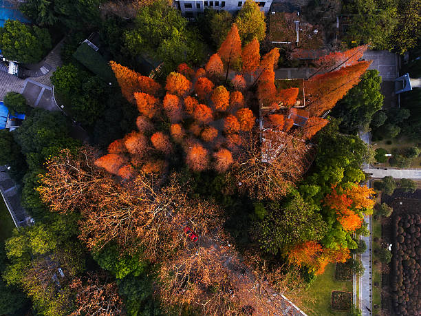 istock People`s park in Shanghai 636418428