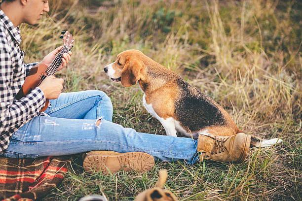 istock Man playing ukulele on camping to his beagle dog 636419772