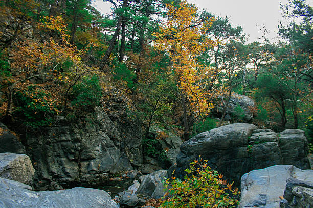istock Colorfull Trees Between of Rocks 636424786
