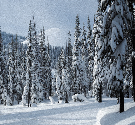 Snow covered ponderosa pines and snow covered road and hills, near Mount Bachelor in Central Oregon, USA