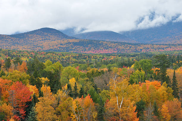 istock Fall colors in New Hampshire 636426104