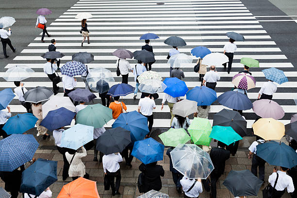cena da faixa de pedestres de tóquio em um dia chuvoso - umbrella parasol rain rush hour - fotografias e filmes do acervo