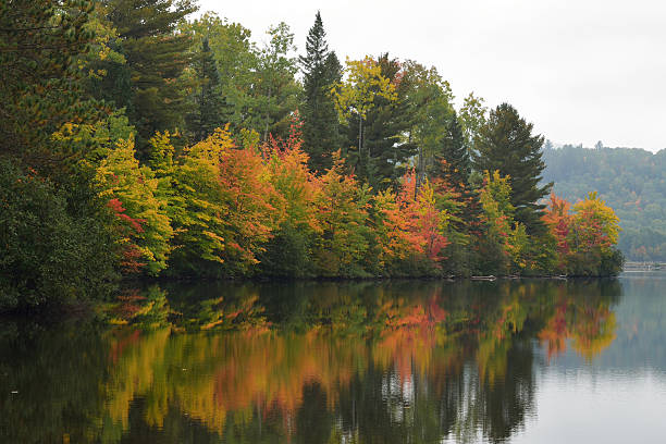 istock Lake Superior in Autumn 636429718