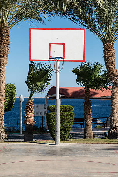 istock basketball backboard in the palms 636429796