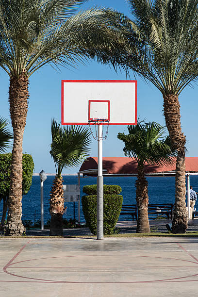 istock basketball backboard in the palms 636429834