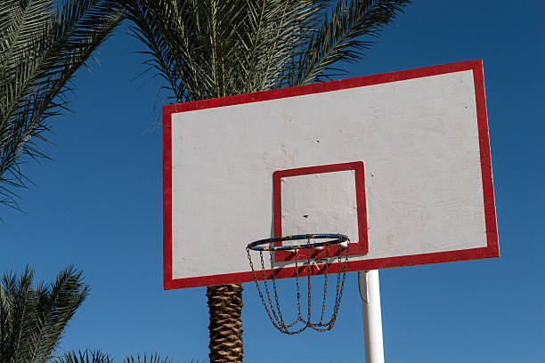 istock basketball backboard in the palms 636430534