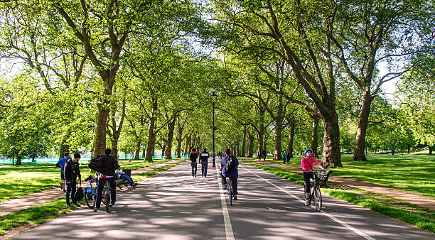 Cycling on Hyde Park Broadwalk London, England, United Kingdom - June 4, 2013: Commuters and tourists ride bicycles, including "Boris Bike" hire bikes under the avenue of trees on the Broadwalk path through London's Hyde Park. hyde park london photos stock pictures, royalty-free photos & images