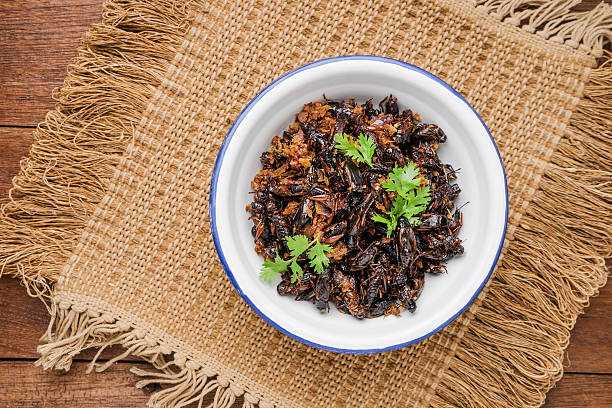 istock Food insect, Fried crickets in iron bowl on wooden 636439708