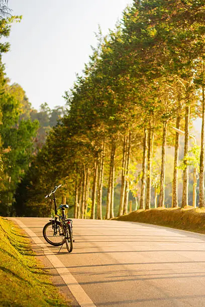 Photo of bike in the garden