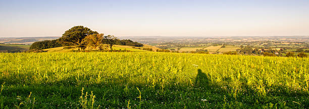 Sunrise on Fontmell Hill Morning light casts shadows on pasture fields on Fontmell Down hill, above the patchwork farming landscape of the Blackmore Vale in Dorset. blackmore vale stock pictures, royalty-free photos & images