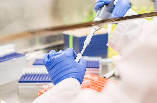 working in the fume hood working in the fume hoodworking in the fume hood fume cupboard stock pictures, royalty-free photos & images