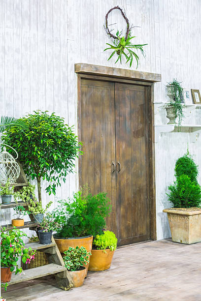 istock Potted plants in front of cozy home. 636452238