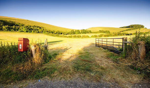 Rolling farmland landscape at Melbury Abbas Early morning sun shines on fields of pasture and crop stubble in the rolling hills of Melbury Abbas in north Dorset. blackmore vale stock pictures, royalty-free photos & images