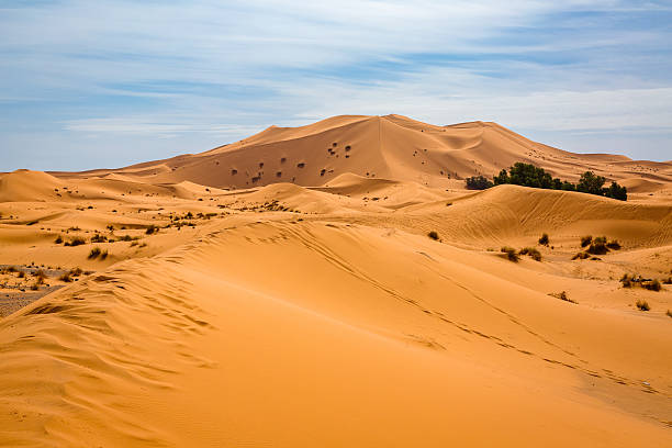 istock Sand dunes of the Sahara desert, Morocco 636462296