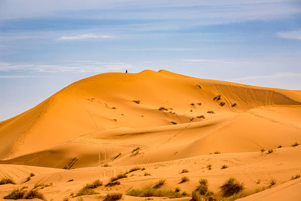 istock Sand dunes of the Sahara desert, Morocco 636464252