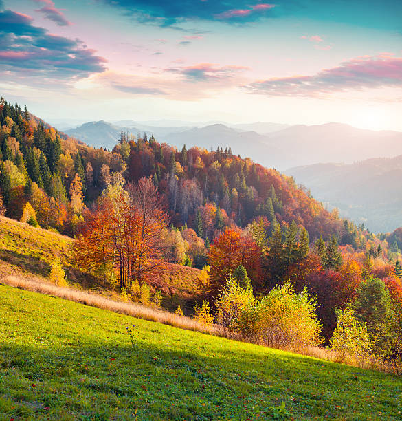istock Colorful autumn landscape in the Carpathian mountains 636465164
