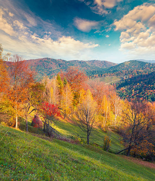 istock Colorful autumn landscape in the Carpathian mountains 636465368