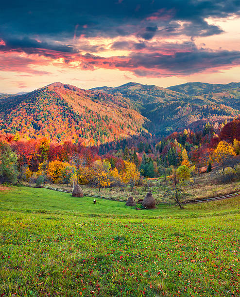 istock Colorful autumn landscape in the Carpathian mountains. 636466018