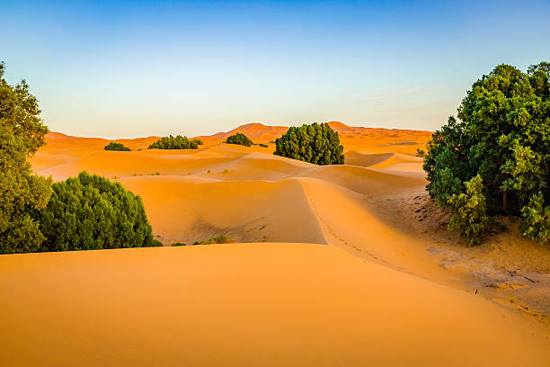istock Sand dunes of the Sahara desert, Morocco 636467236