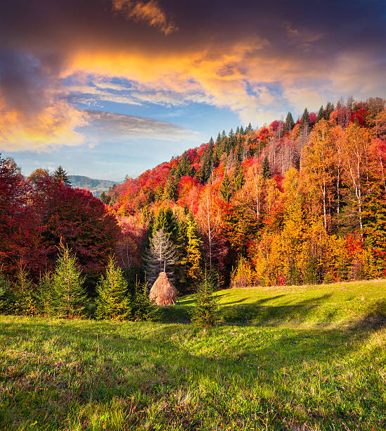 istock Colorful autumn landscape in the Carpathian mountains 636469186
