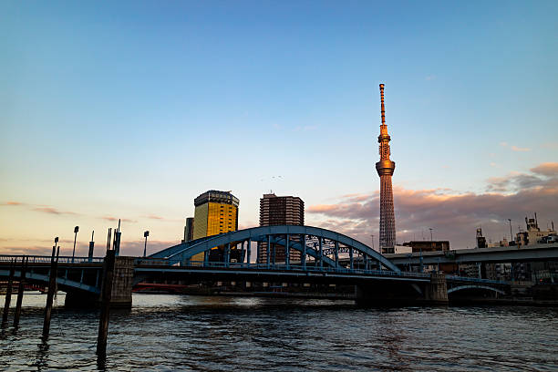 istock sumida ward city hall, asahi beer tower, asahi beer 636469998