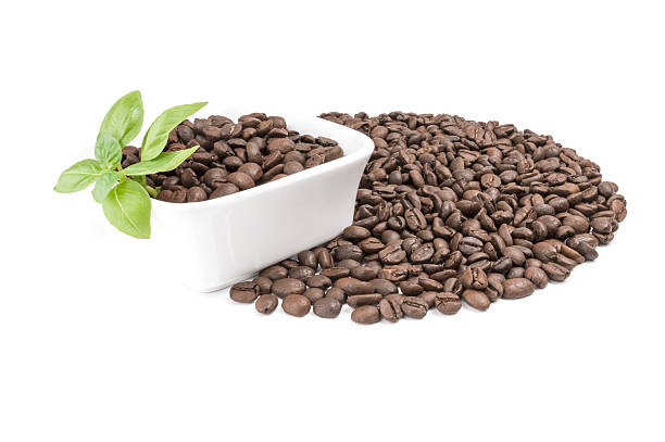 istock Brazilian coffee isolated on a white background cutout 636477570
