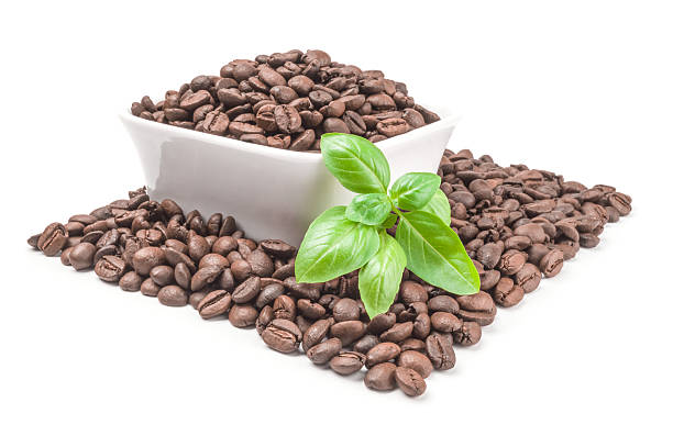 istock Pile of roasted coffee beans isolated on a white background 636478044