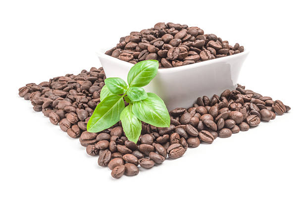 istock Pile of roasted coffee beans isolated on a white background 636478714