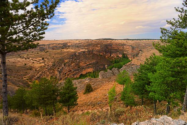 istock Natural park of river Duraton 636479072